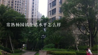 常熟杨园镇生活水平怎么样