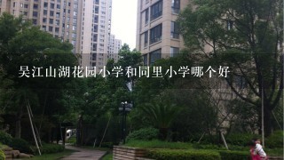 吴江山湖花园小学和同里小学哪个好