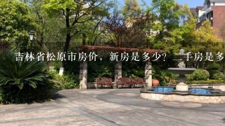 吉林省松原市房价，新房是多少？2手房是多少？