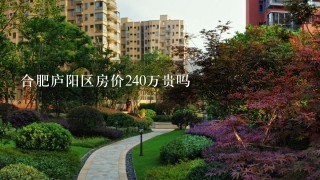 合肥庐阳区房价240万贵吗