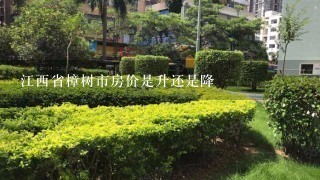 江西省樟树市房价是升还是降