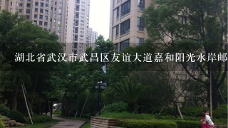 湖北省武汉市武昌区友谊大道嘉和阳光水岸邮编是什么?