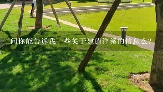 问你能告诉我一些关于建德洋溪的信息么？