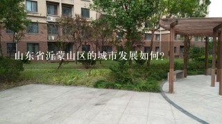 山东省沂蒙山区的城市发展如何？