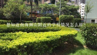 想知道南海狮山附近的学校情况怎么样