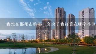 我想在郴州市购买一套房子我打算在哪个小区购房为什么